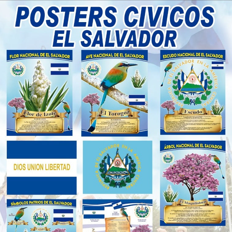 Poster Civicos 30x45cm