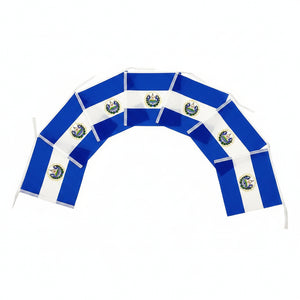 Banderin Bandera 14x21cm Largo 3.50 Metros