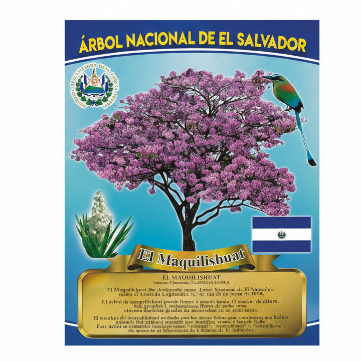 cromos Poster Civicos 45X55cm