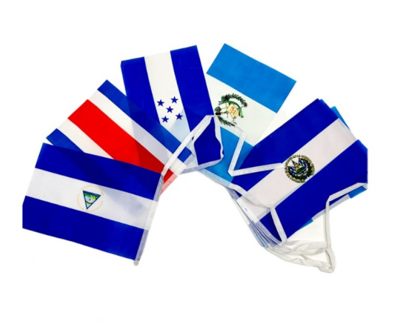 Banderin Centro America Bandera 20x28cm / 3.50 Metros