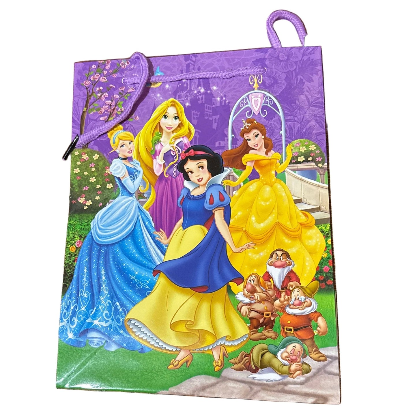 bolsa de Regalo de Disney Brillante