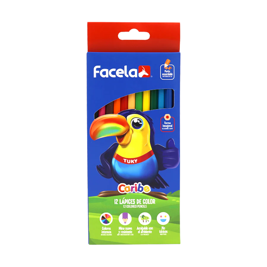 Lapiz de Color LARGO CARTON Facela