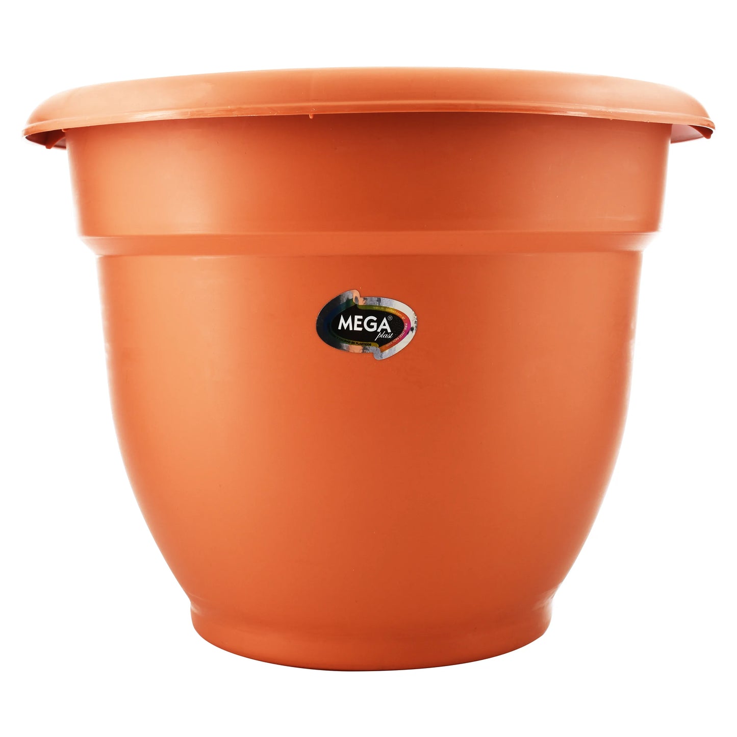 Masetera #4 Con base