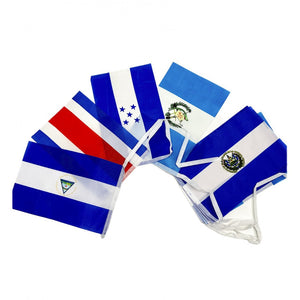 Banderin Bandera 14x21cm  Largo 3.50 Metros