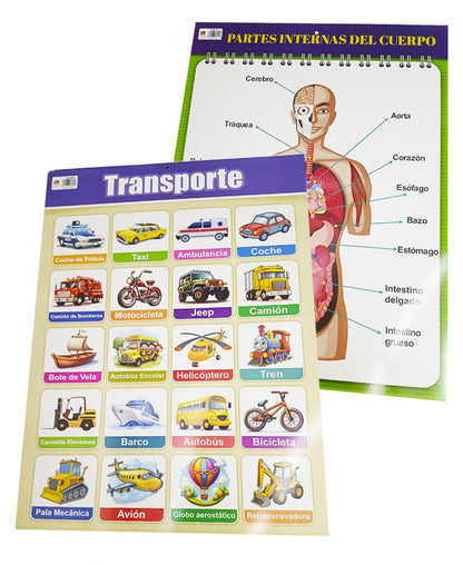 Lamina De Aprendizaje, Cromos