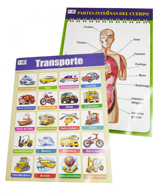 Lamina De Aprendizaje, Cromos