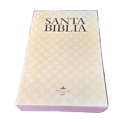 Biblia RV1960 Grande Sencilla