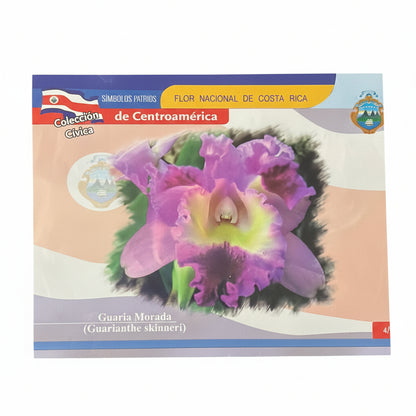 Cromos CA Carta