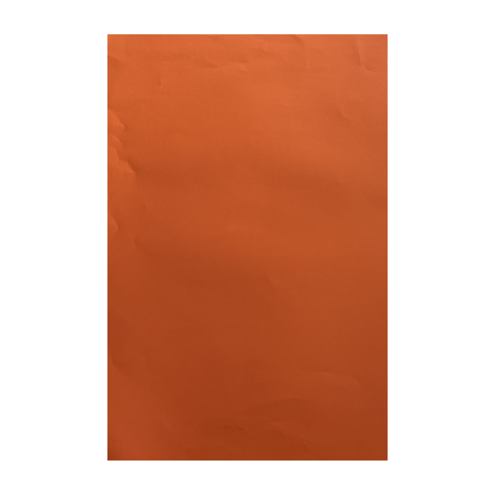Papel Cartulina Iris Especial Pliego