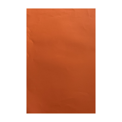 Papel Cartulina Iris Especial Pliego