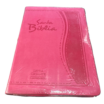 Biblia RV1960 LETRA GIGANTE