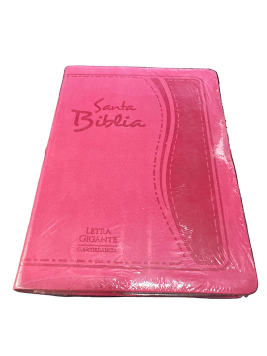 Biblia RV1960 LETRA GIGANTE