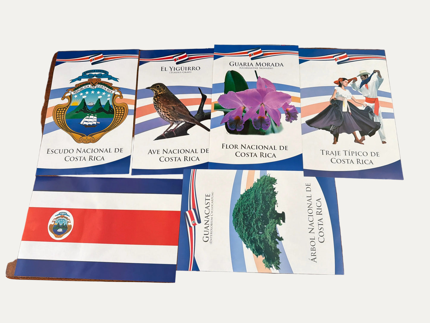 Set Cromos CA Doble Carta