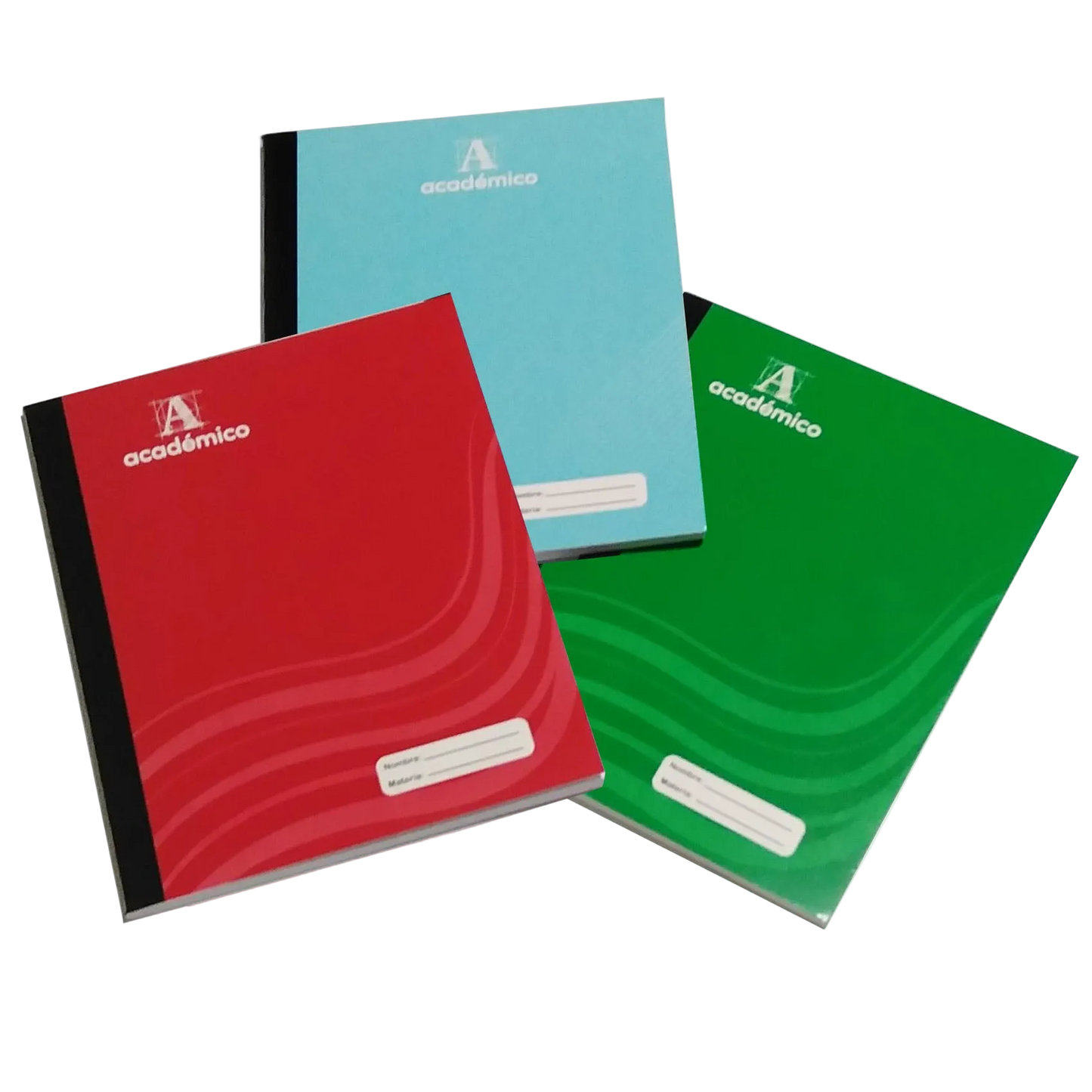 Cuaderno GRANDE  Cosido  #3 / #11