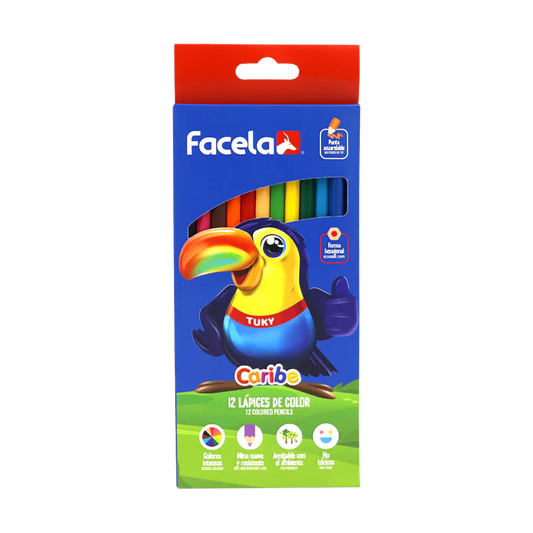 Lapiz de Color LARGO CARTON Facela