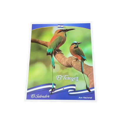 Cromos ES Carta