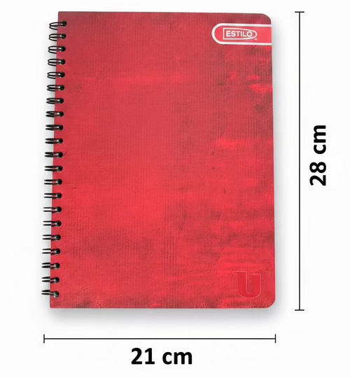 Cuaderno Doble Anillo Estilo Universitario  Ray