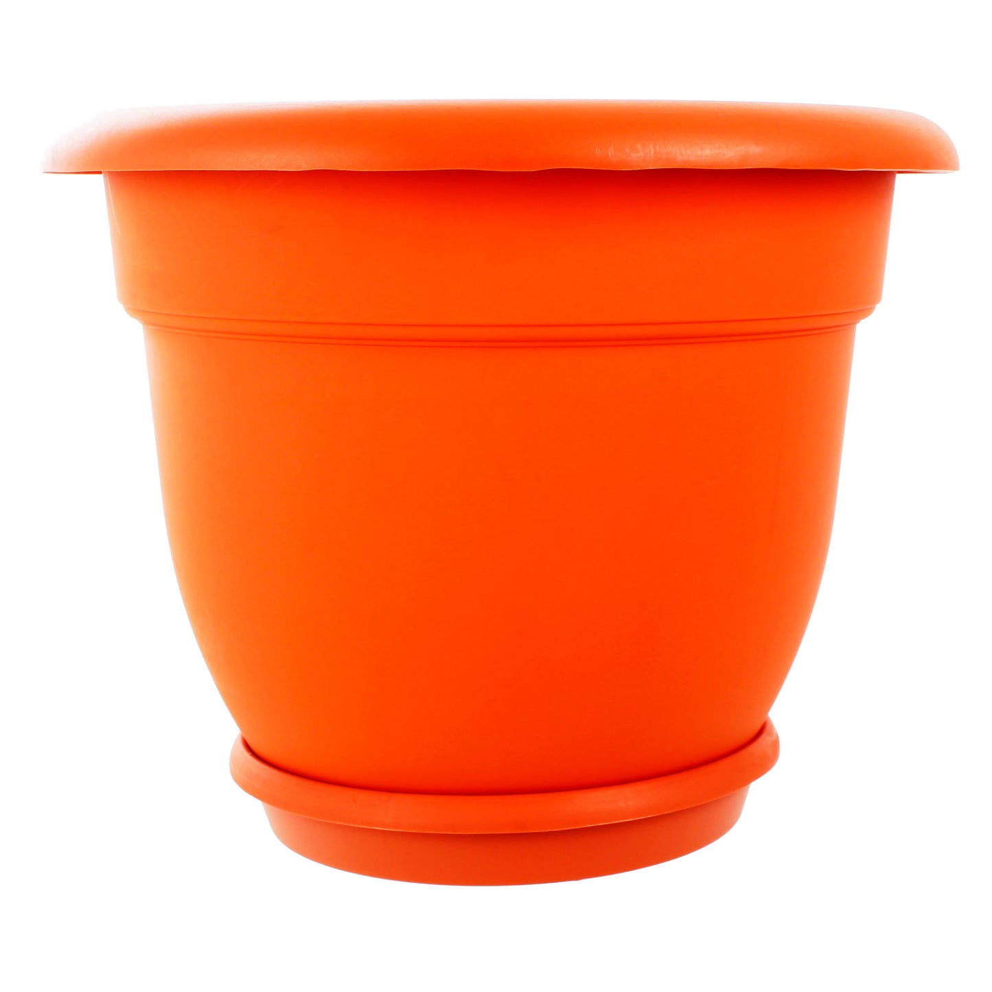 Masetera #3 Con base