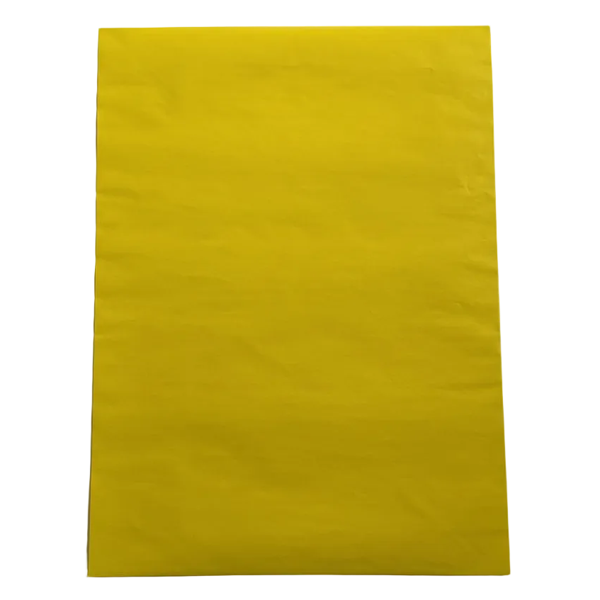 Pliego Papel Lustre