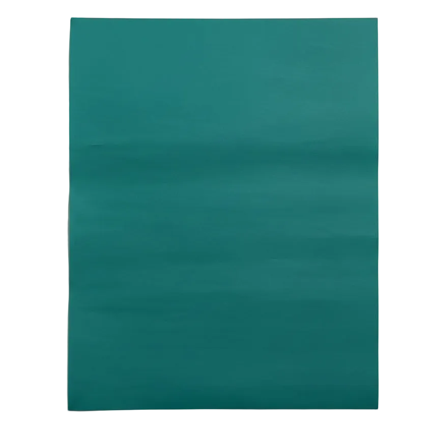 Pliego Papel Lustre