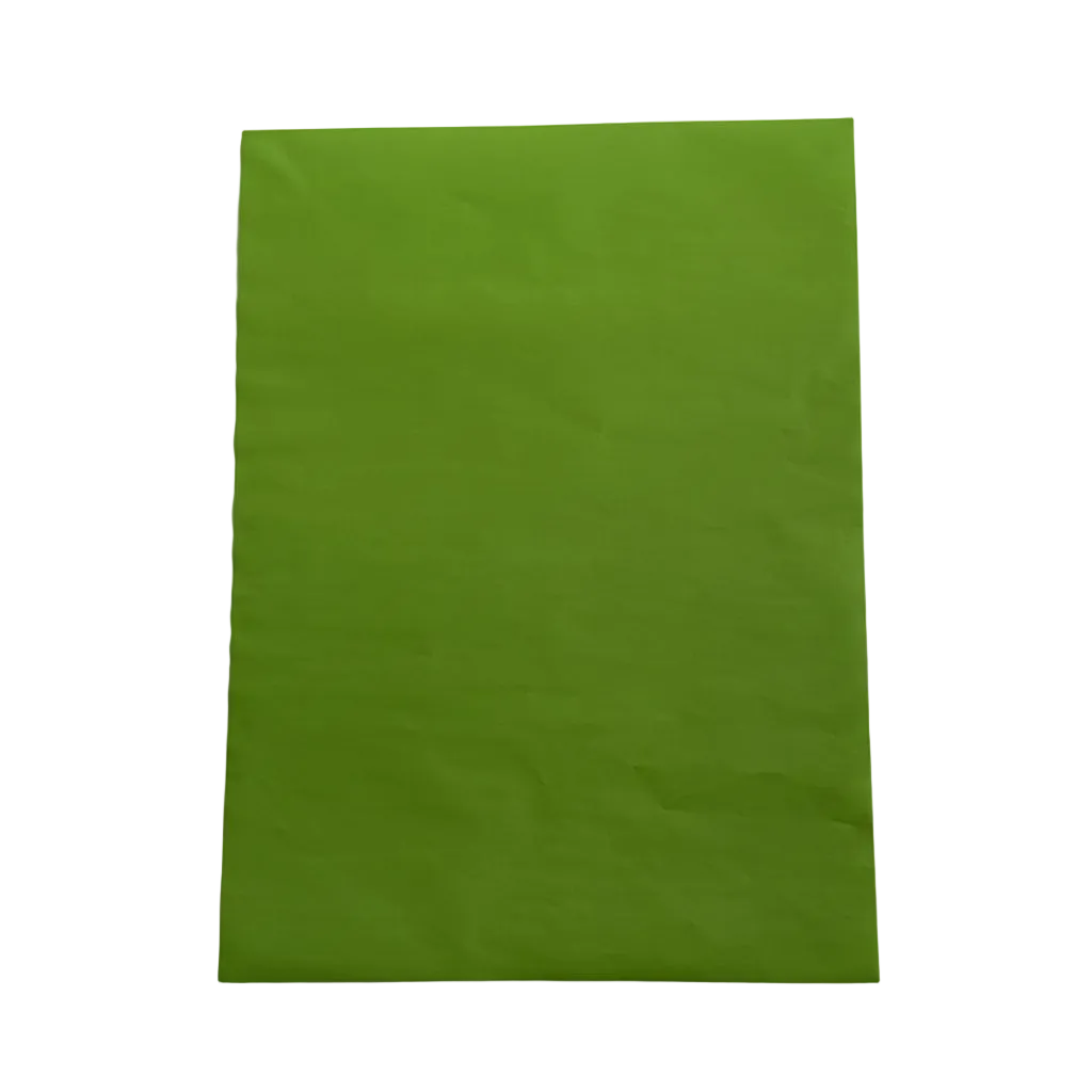 Pliego Papel Lustre