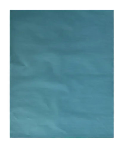 Pliego Papel Lustre