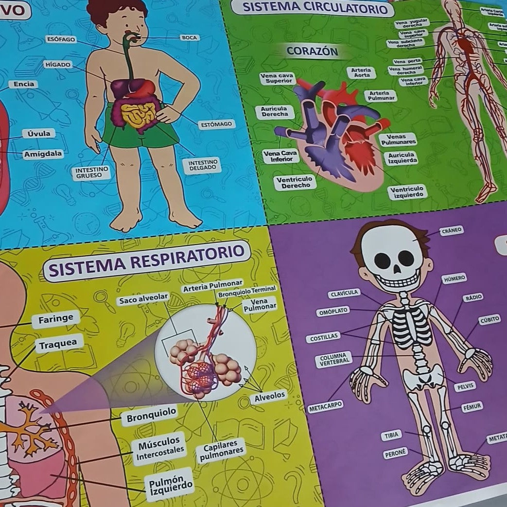 Pliego de Papel de Regalo Educativo y Recortes