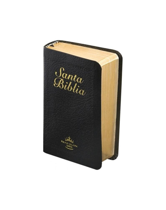 Biblia RV1960 Mini de Bolsillo